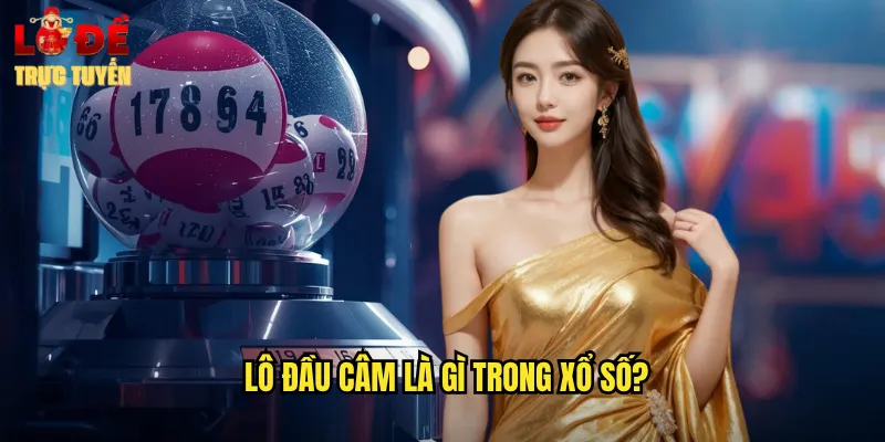 Bí Quyết Bắt Lô Đầu Câm Hiệu Quả Cùng Lô Đề Trực Tuyến 2 Lô đầu câm là gì trong xổ số?